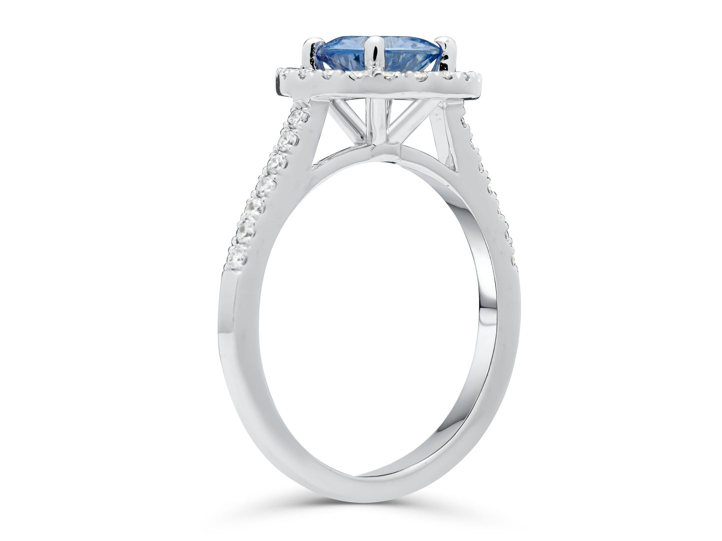 Sapphire White Gold Cocktail Ring